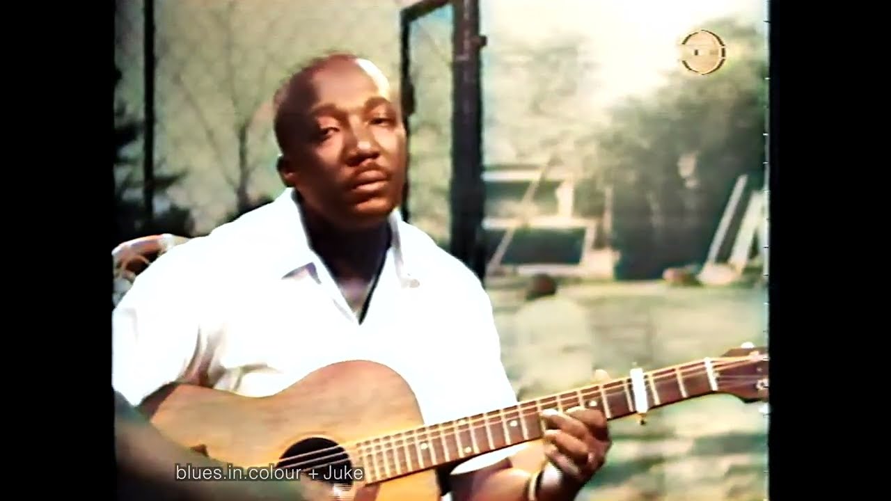 J B Lenoir - The Whale Has Swallowed Me live [Colourised] 1965