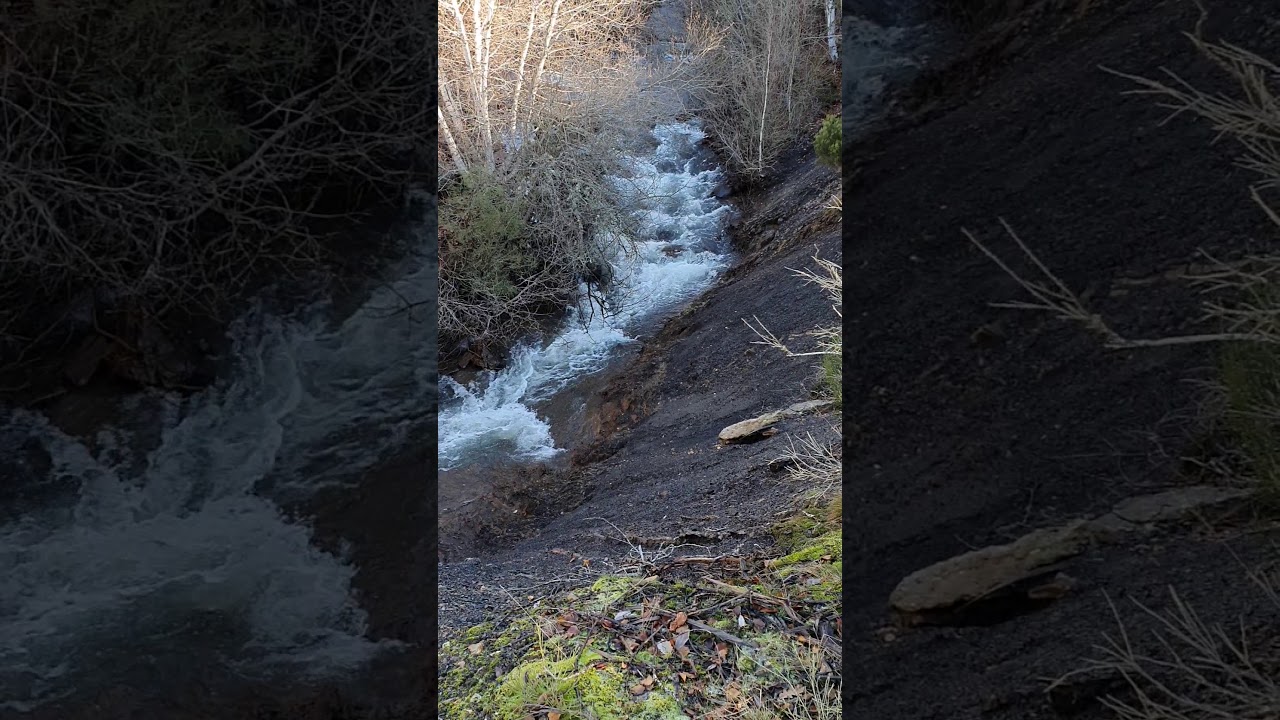Senda Fuente Cobre - Nacimiento del Pisuerga 2