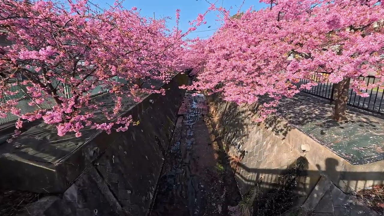 野毛大塚古墳