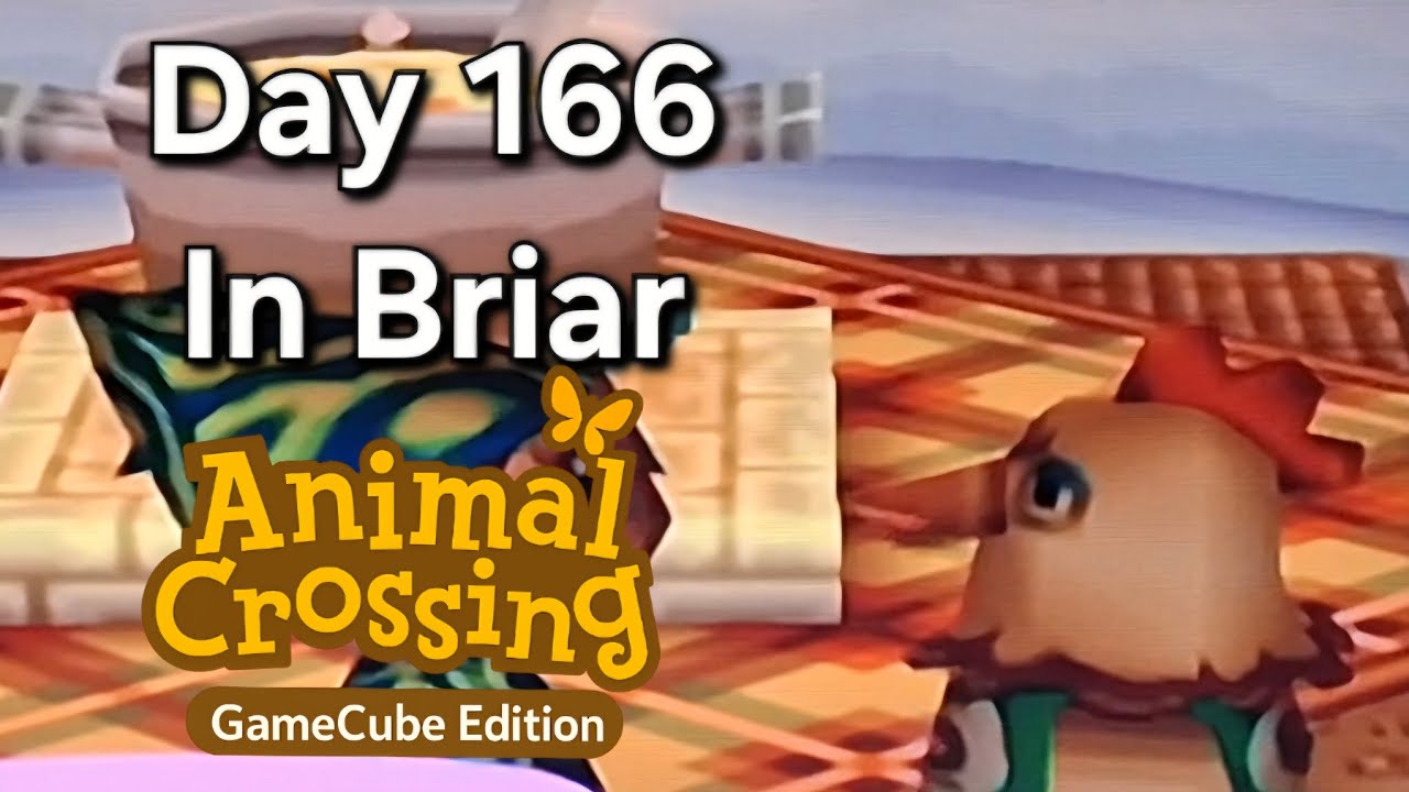 Animal Crossing GameCube – Day 166: Lighthouse Lock-In, Igloo Chaos, and 14,000 Bells Gone