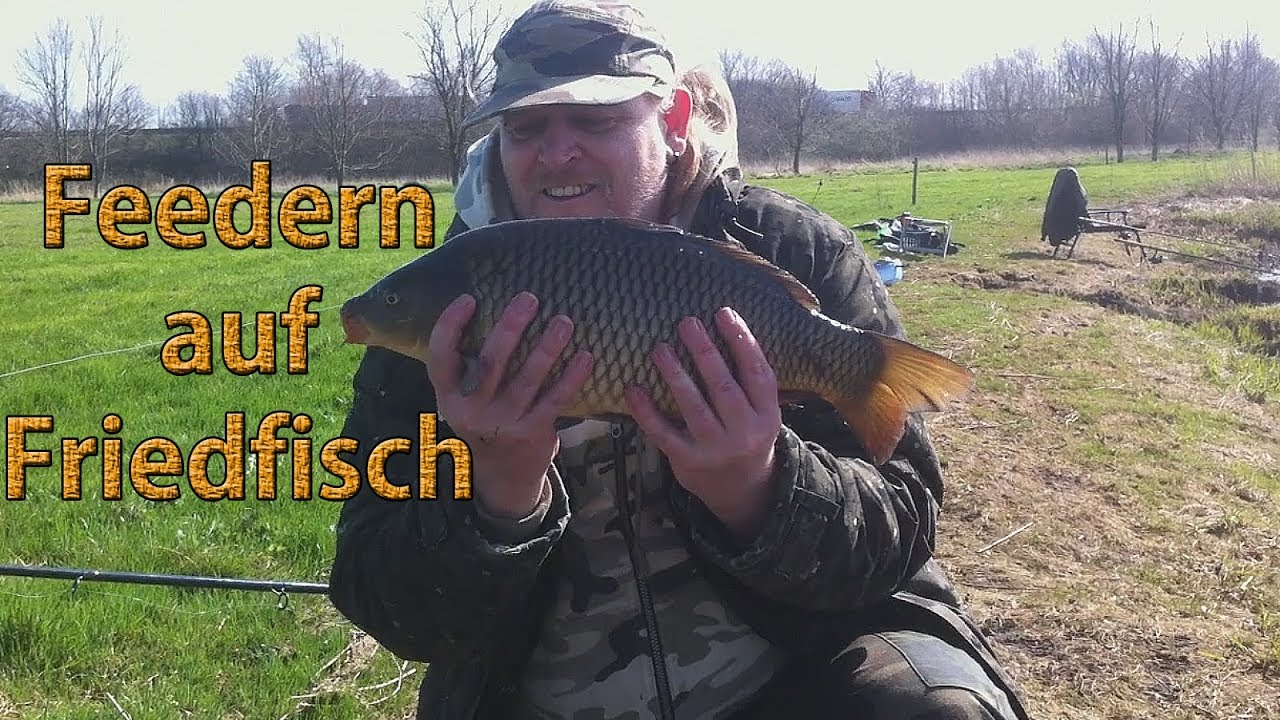 Feedern auf Friedfisch | Schuppenkarpfen und Weissfisch