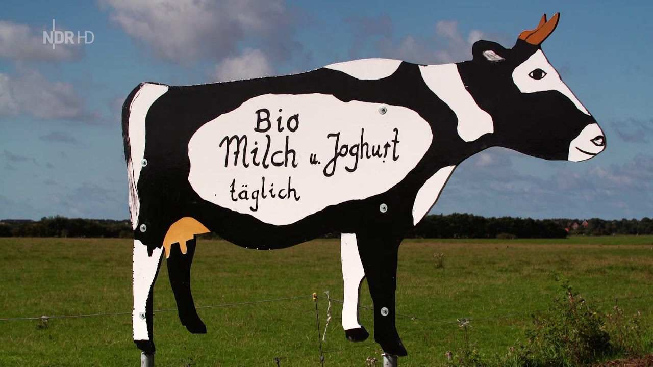 Föhr - Inselgeschichten 2018