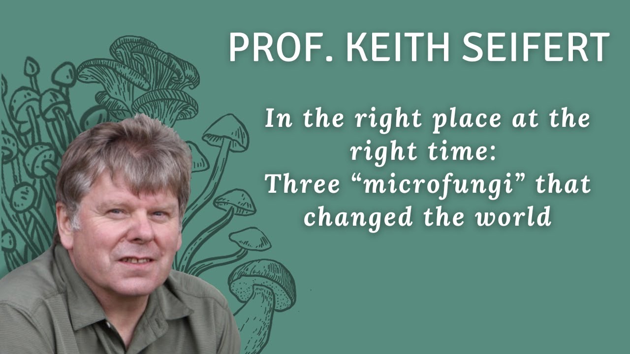 Prof Keith Seifert | In the right place at the right time: Three “microfungi” that changed the world