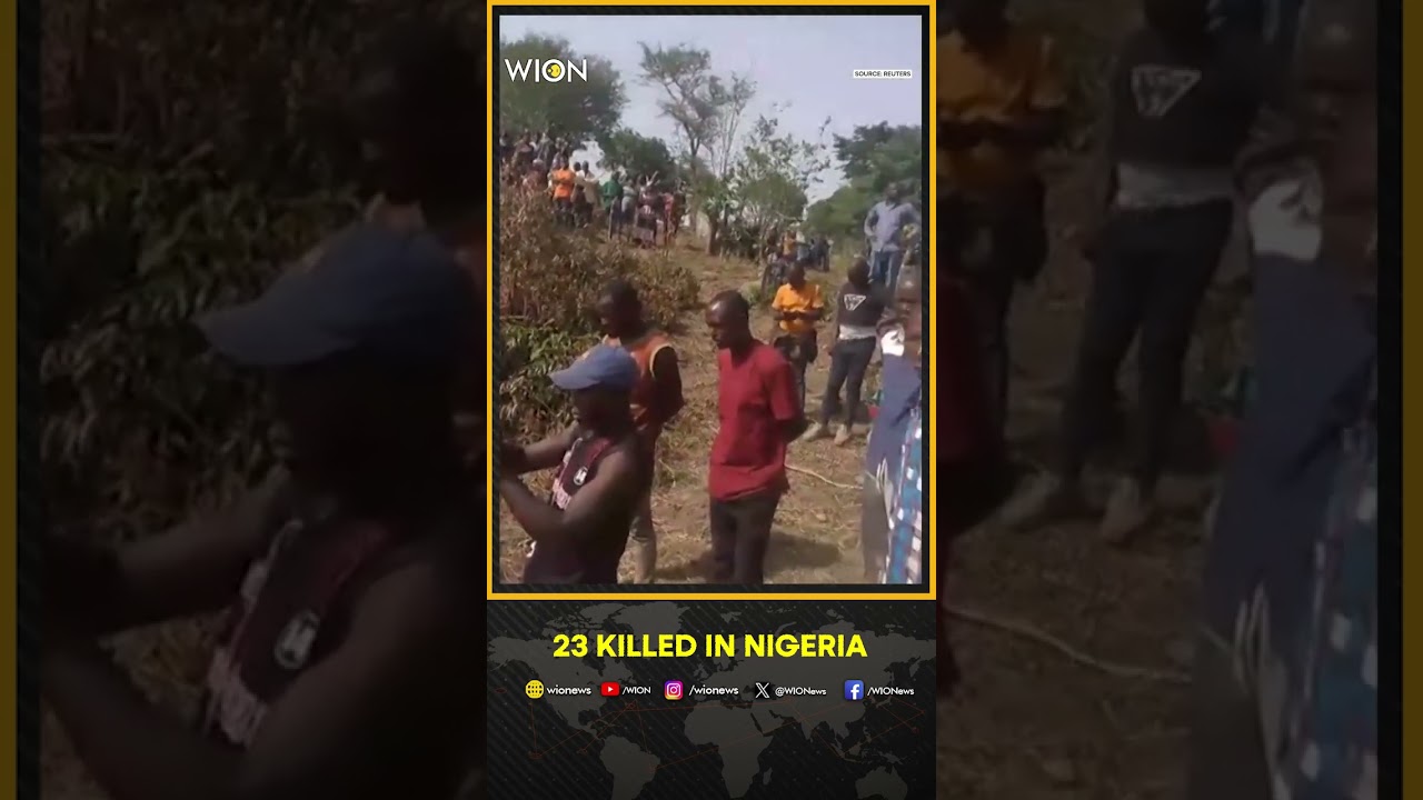 Gunmen Kill 23 In Nigeria's Central Region: Red Cross Official | WION Shorts