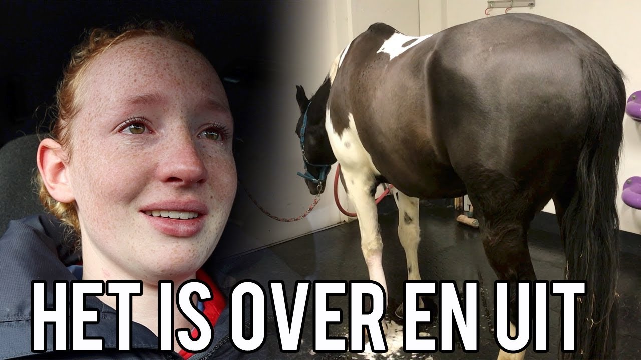 HIER EINDIGT HET VOOR MOJITO 😭| PAARDRIJDEN MET PLEZIER