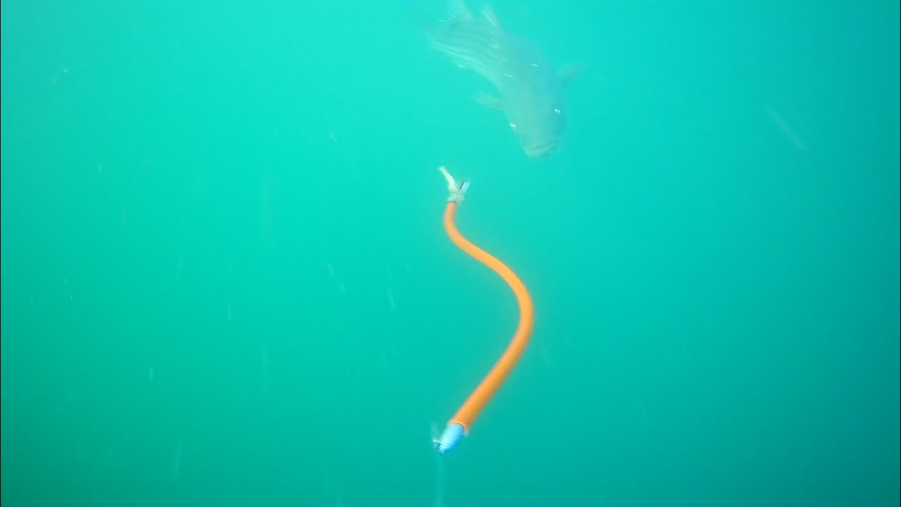 Tube & Worm Fishing For Striped Bass and Bluefish - Rhode Island Kayak Fishing