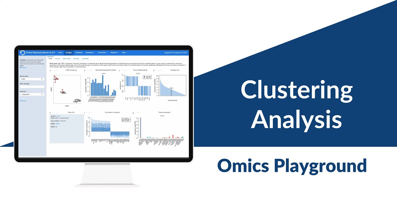 Clustering Analysis | Omics Playground V2 (video tutorial 3)