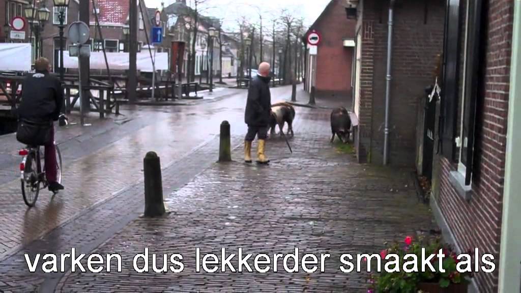 met tekst