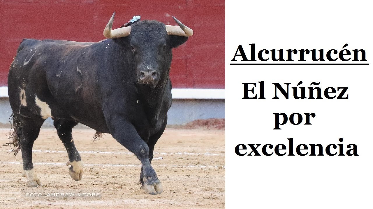 Fernando Lozano, de Alcurrucén: 