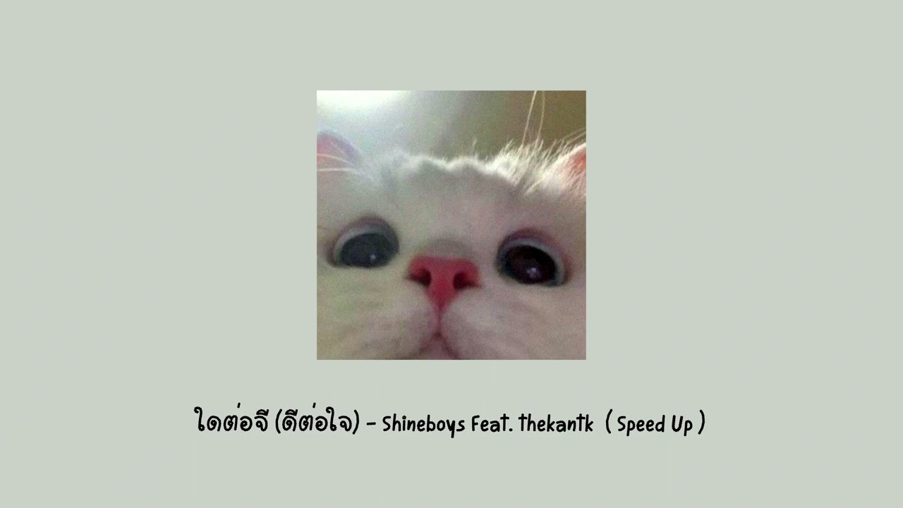 ใดต่อจี (ดีต่อใจ) | Shineboys Feat. @thekantk (Speed Up)