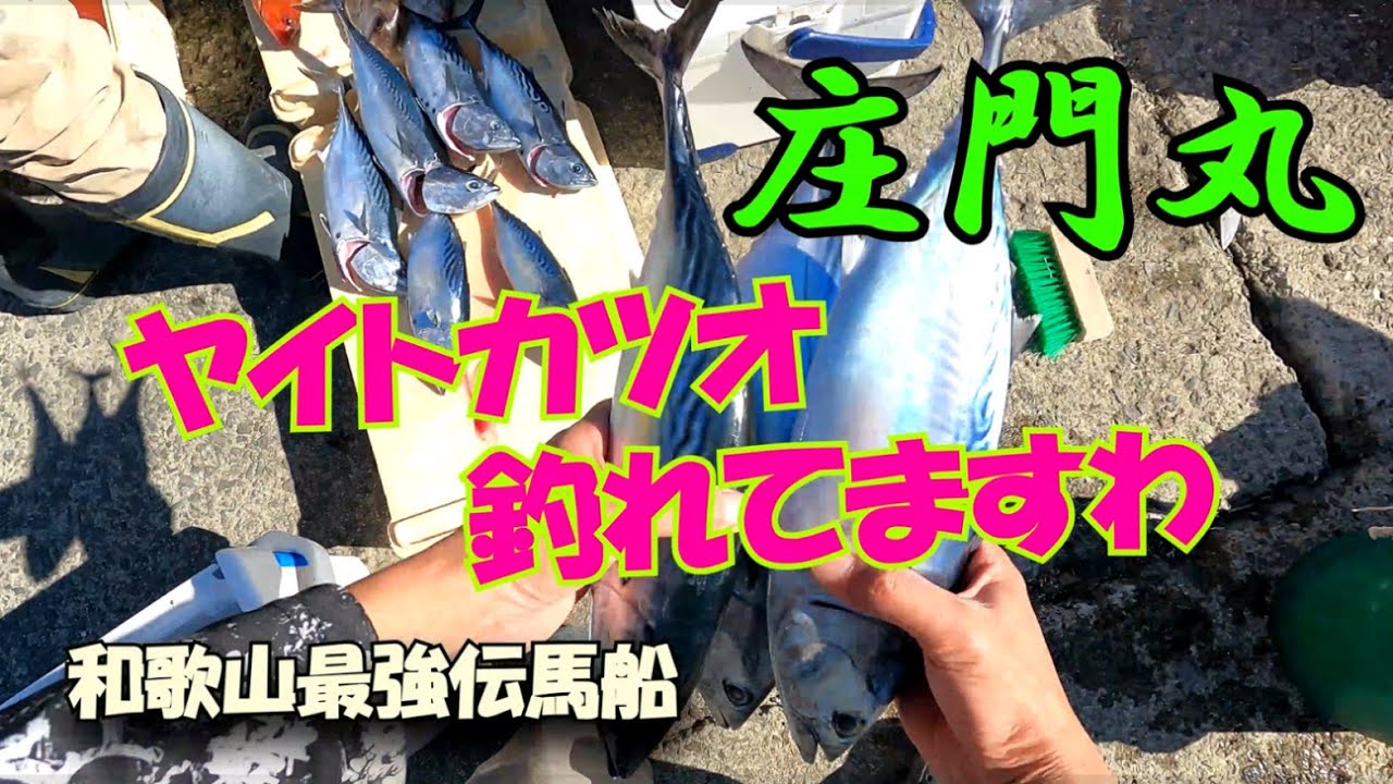 【和歌山釣り】　庄門丸で完全フカセ  ヤイトカツオ連発えげつない