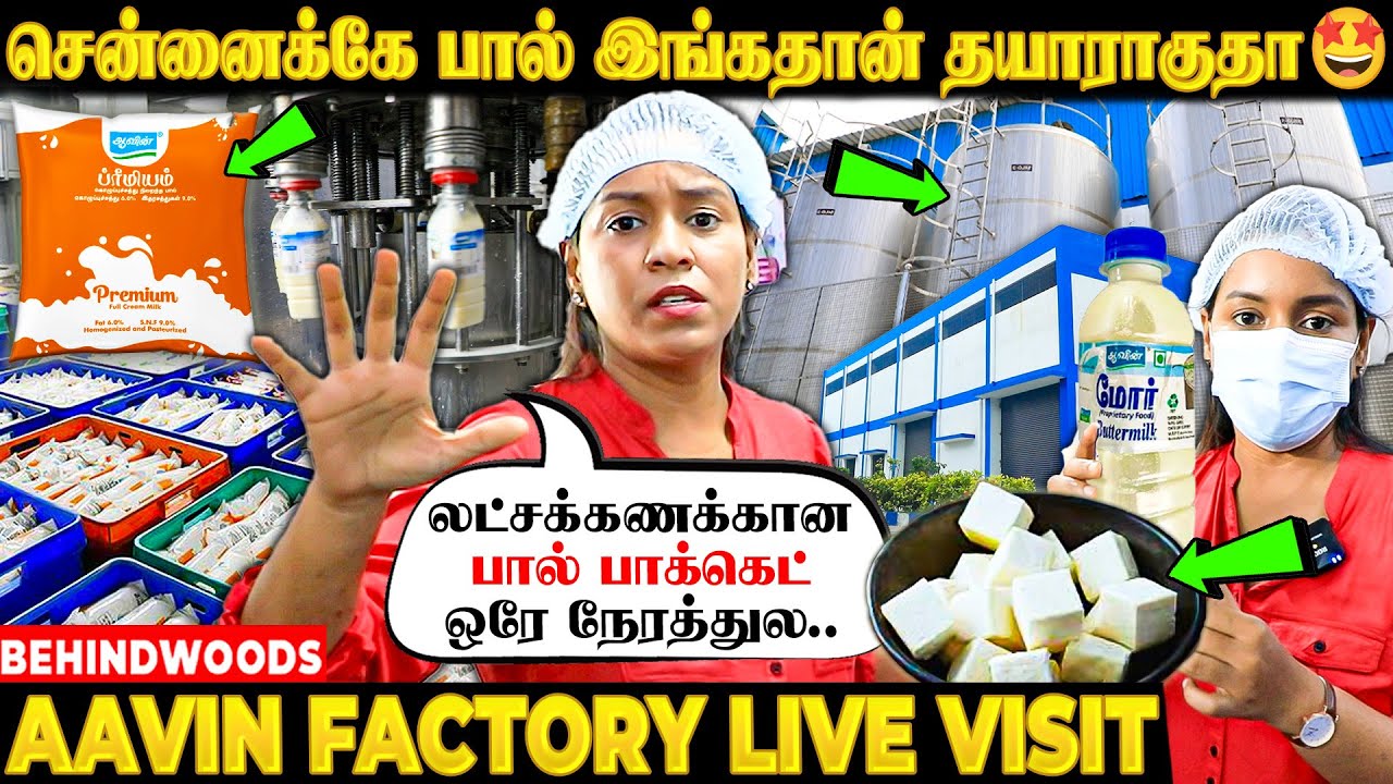 தமிழ்நாட்டுக்கே பால்.. இங்கதான் தயாராகுதா🤩🤩 - ஆவின் FACTORY வியக்கவைக்கும் VISIT