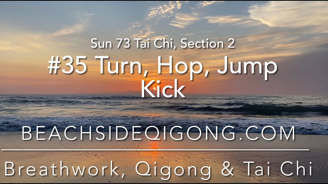 Sun 73 Tai Chi Section 2, Move 35 Turn, Hop, Jump Kick     learn tai chi