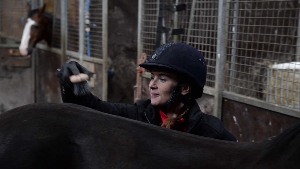 Quick guide to a career in the equine industry
