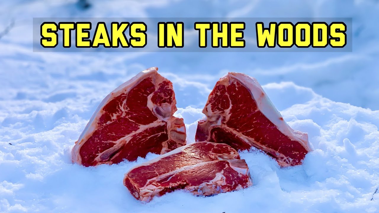 What Happens when you leave STEAKS in the woods? Let's find out! Trail Camera: Wildlife Steak Dinner