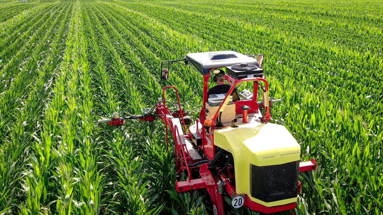 Saatmais Entfahnen 2021 | Vermande 2204 mit Kontrolle