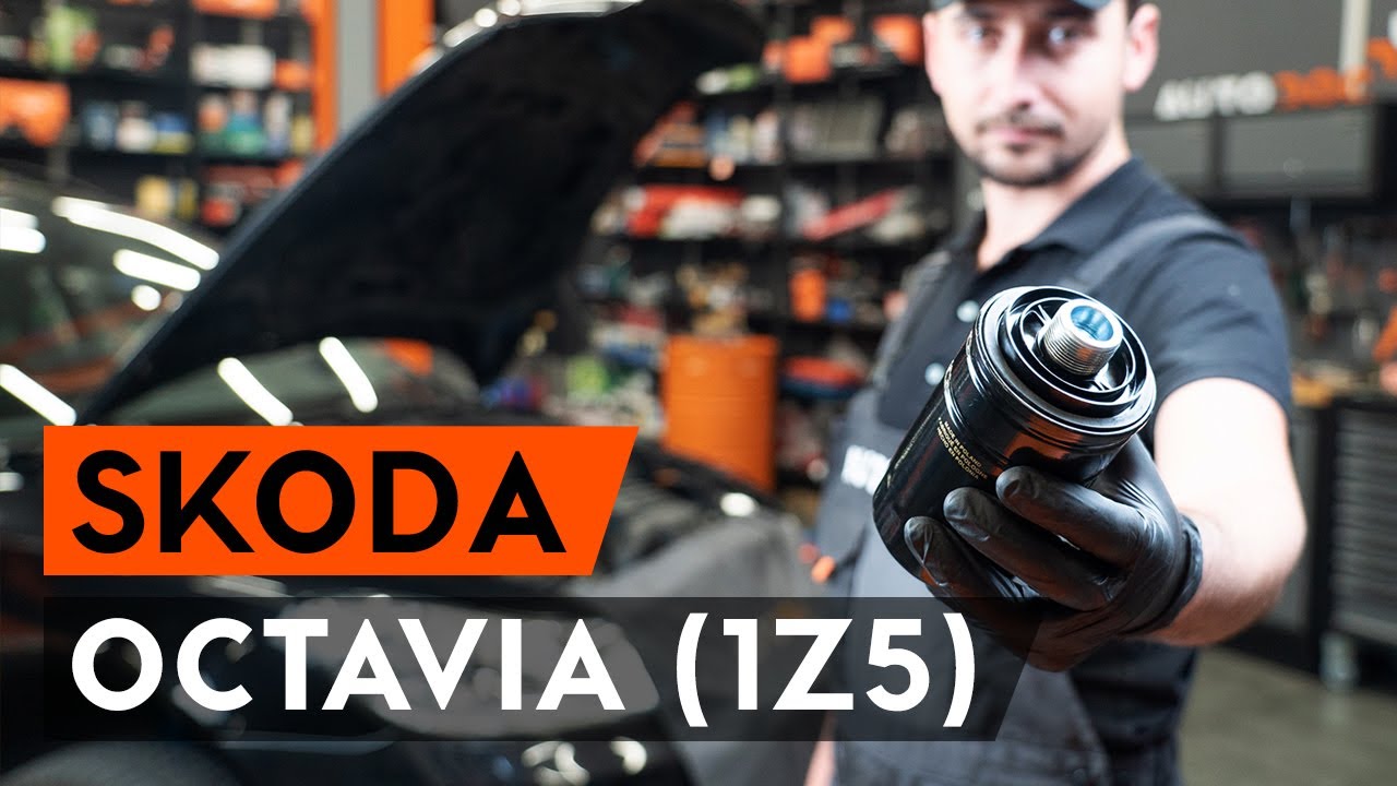 Hvordan udskiftes oljefilter og motorolje til OCTAVIA (1Z5) [GUIDE AUTODOC]
