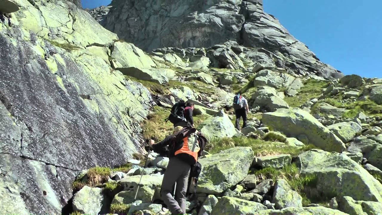 VYSOKA 2014
