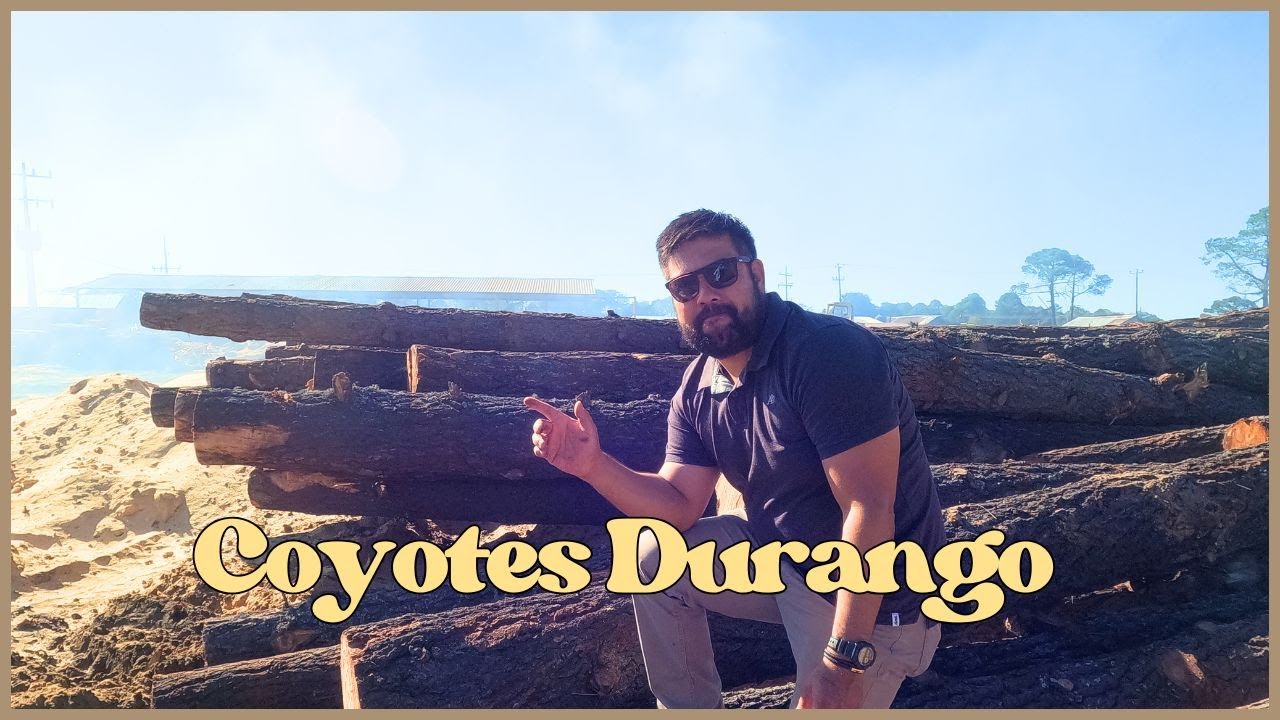 Coyotes Durango. Un Pueblito Bonito en la Sierra!!!
