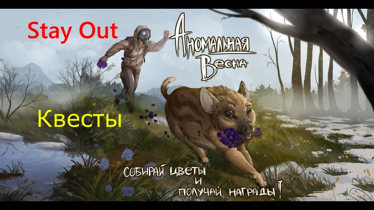 👉Квесты Чёрный лес🌟Ежедневки🌟Сталкеронлайн🌟stayout 👍Аномальная весна