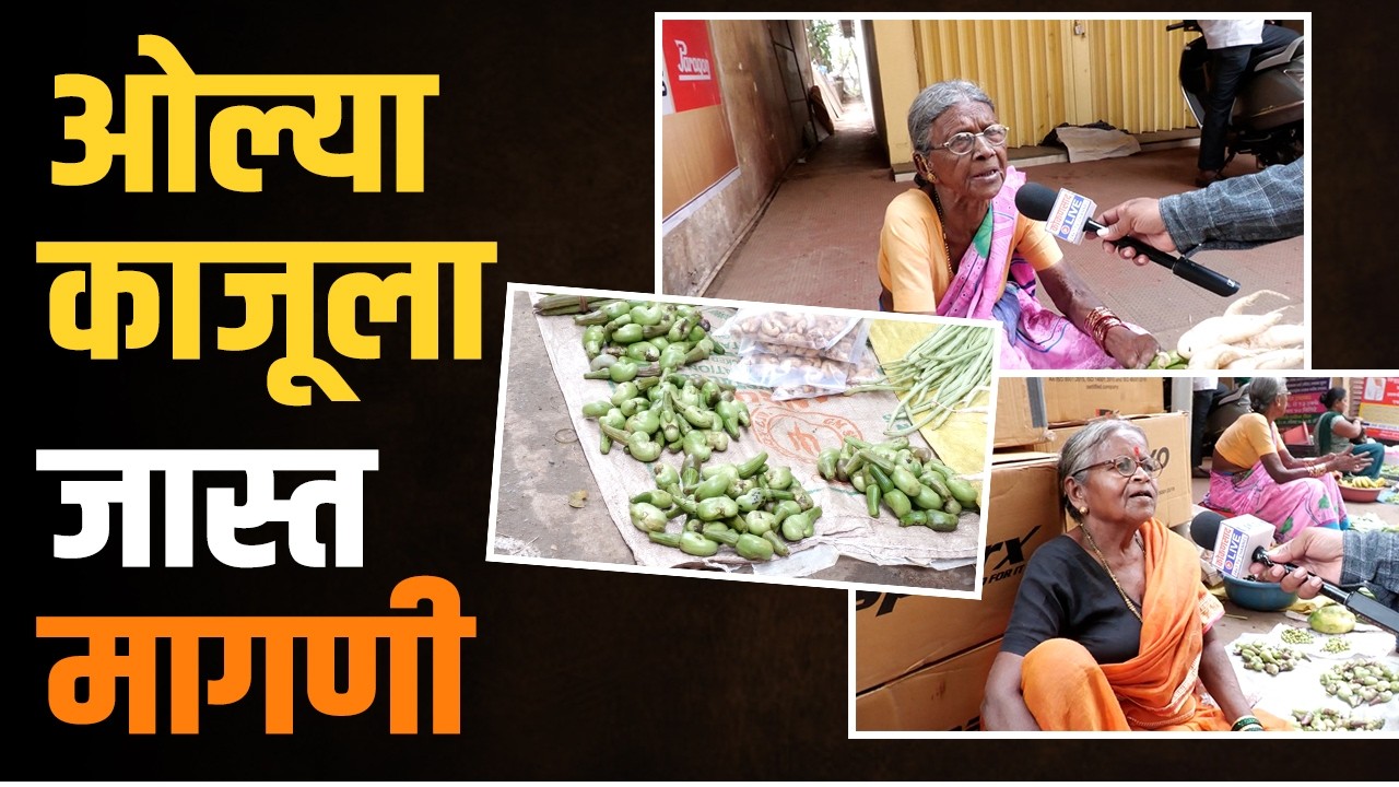 कणकवलीच्या बाजारात कोकणी रानमेवा