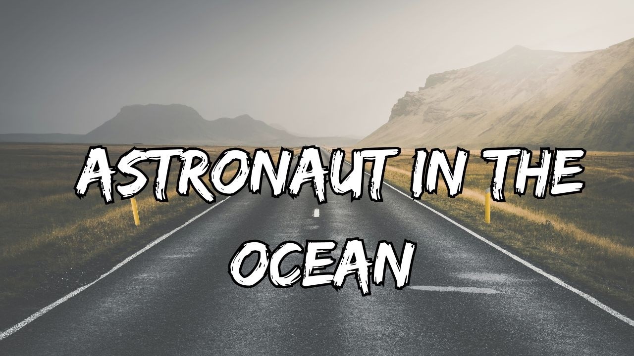 Astronaut In The Ocean Full Lyrics