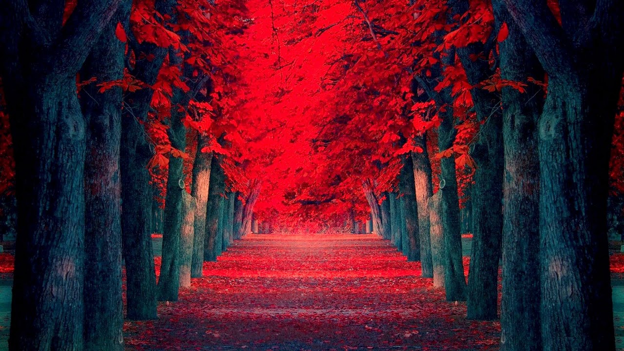 Beautiful Colorful Way (HD1080p)