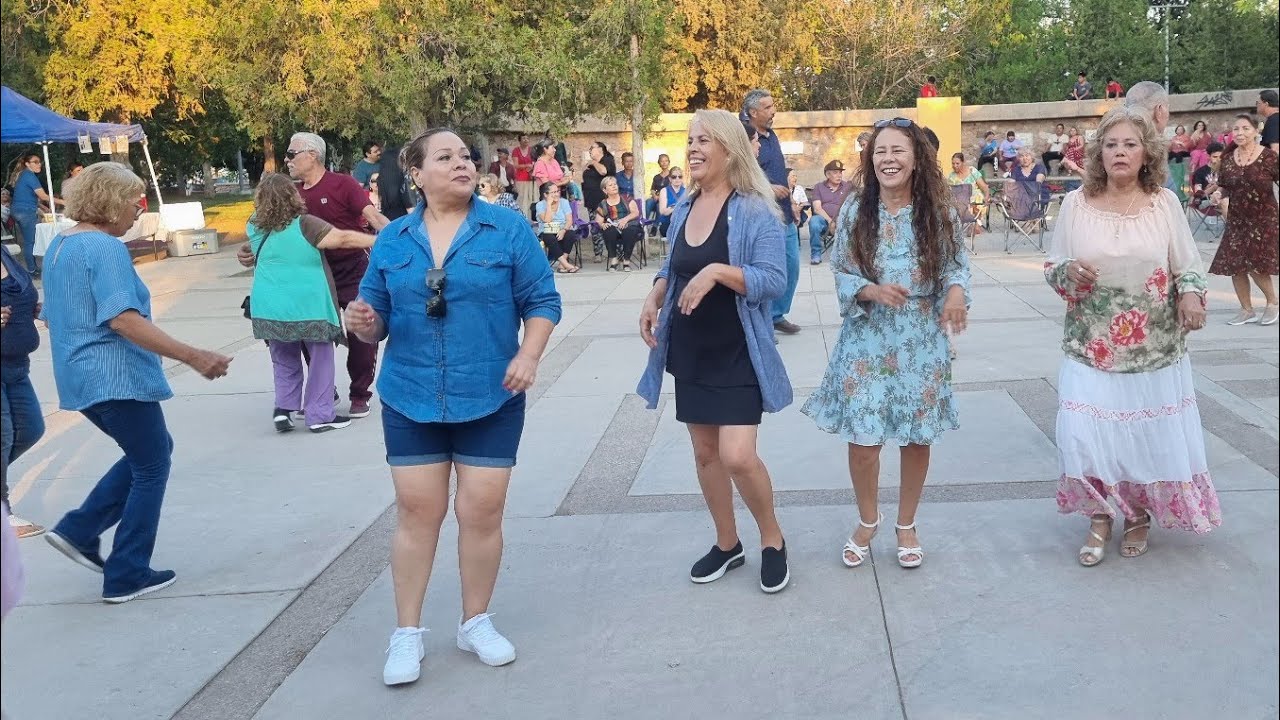 CHIHUAHUA BAILANDO OFFICIAL está en vivo