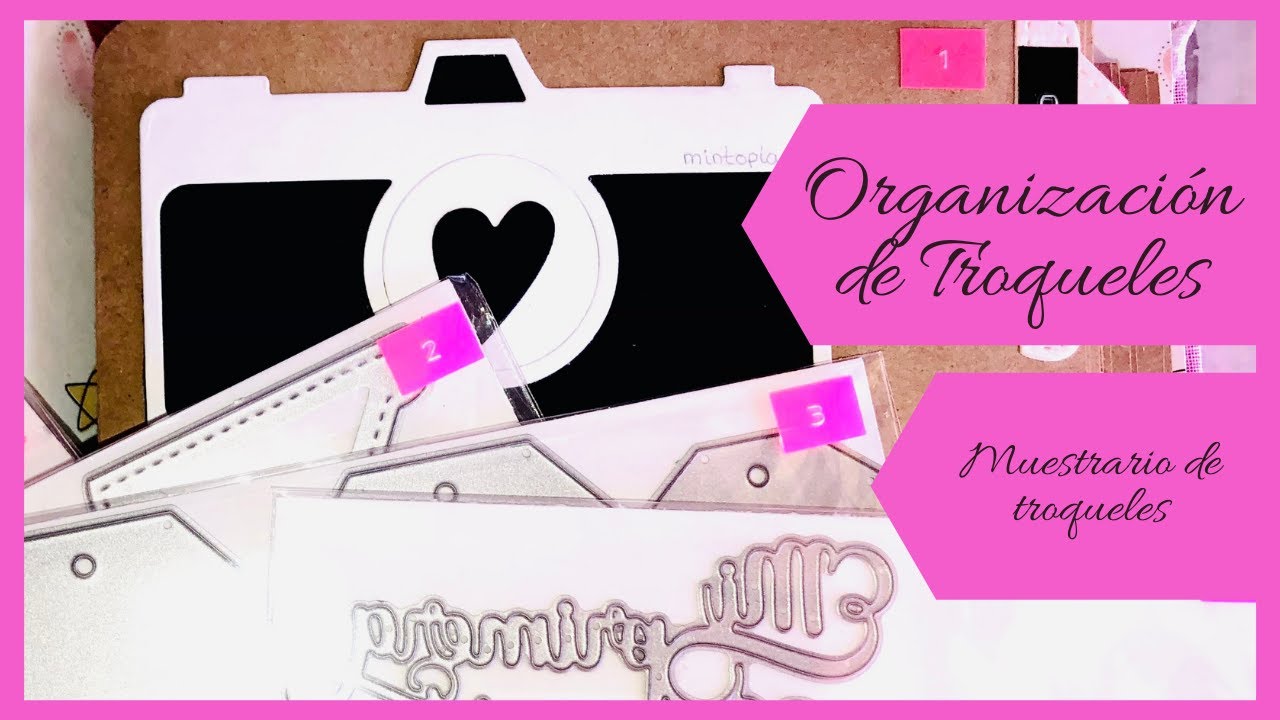 Cómo ordenar los troqueles de forma efectiva || Organización Scrap