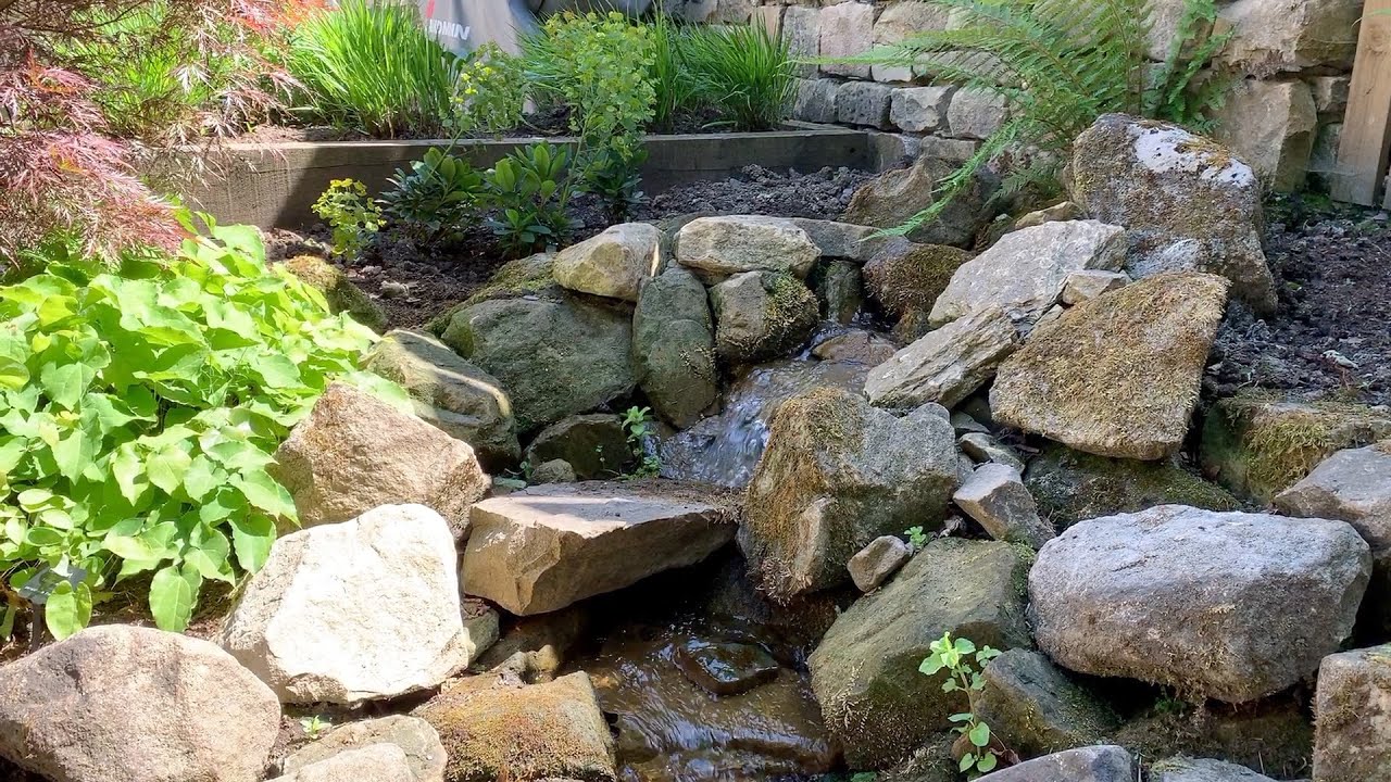 Summer Garden Time Lapse 2020 - See how it's grown