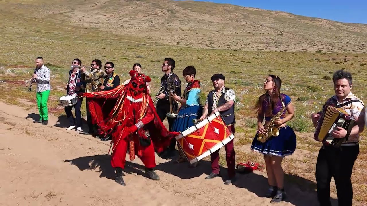 Banda Conmoci&oacute;n - El arbolito (Visualizer)
