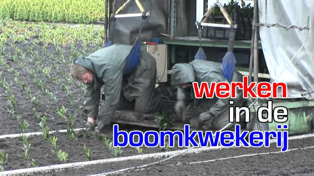 Level One South.mp4