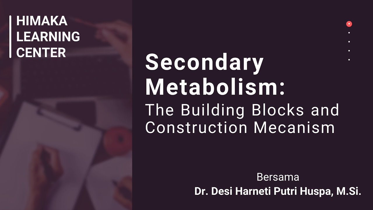 Tutorial HLC: Secondary Metabolism: Building Blocks and Construction Mechanism
