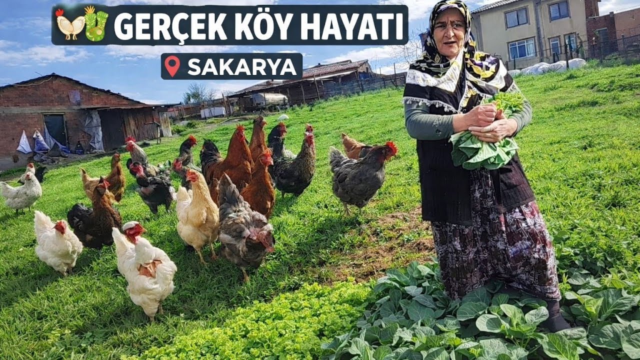 😲🏡 Sakarya’da Ablamın Çiftlik Evindeyiz! Gören Kalmak İstiyor