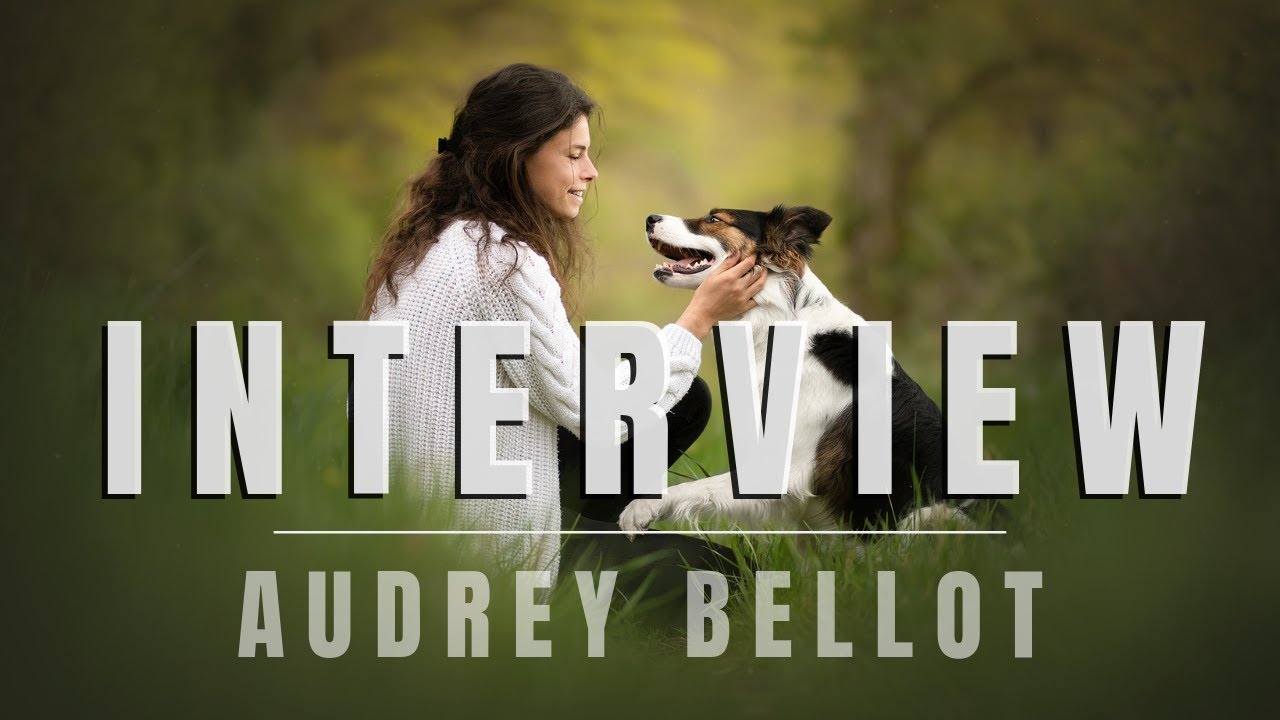 LE MÉTIER DE PHOTOGRAPHIE CANINE | Audrey BELLOT