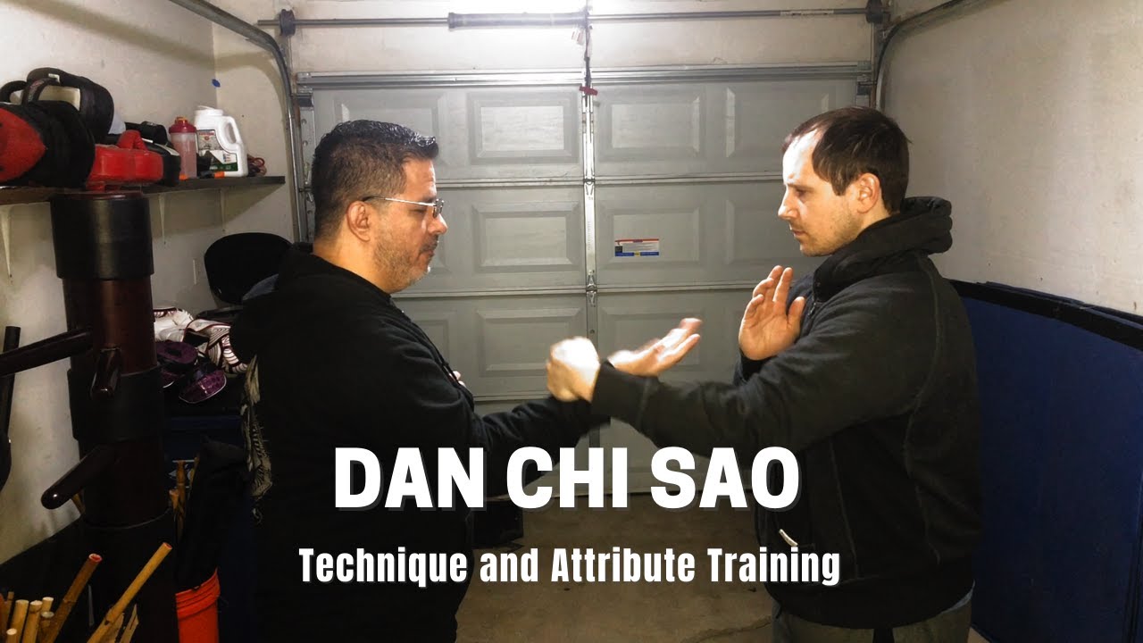 Dan Chi Sao - Single Hand Chi Sao