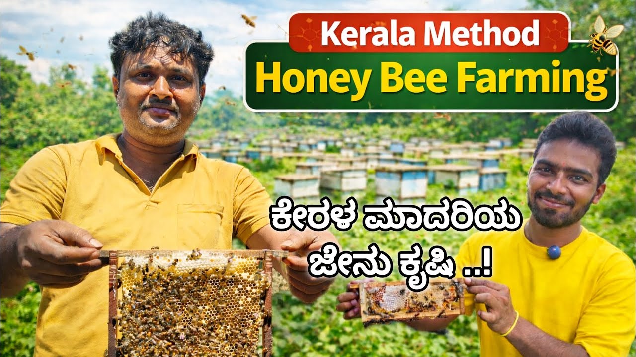 ಕೇರಳ ಮಾದರಿಯ ಜೇನು ಕೃಷಿ| Kerala Method Honey Bee Farming.