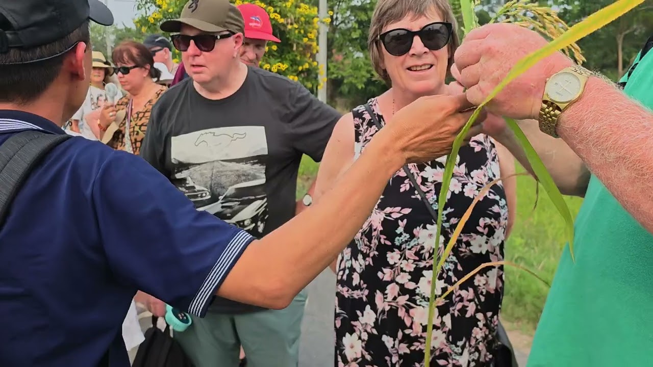 Tiger Island Vietnam - Victoria Mekong Cruise day 1, visiting local village, January 2025