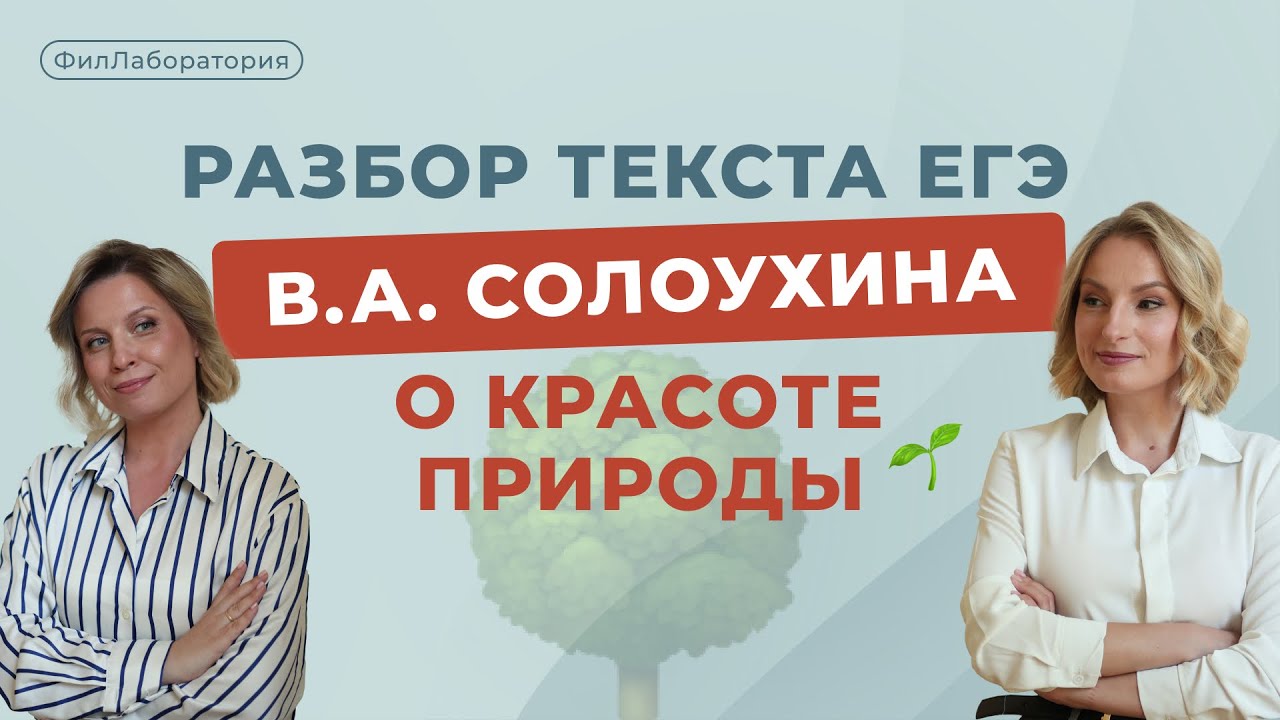 Высокобалльное сочинение на ЕГЭ, структура.