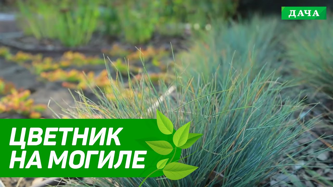 ЛАНДШАФТНЫЙ ПРОЕКТ | ЦВЕТНИКА НА МОГИЛЕ | Как правильно работать с агроволокном
