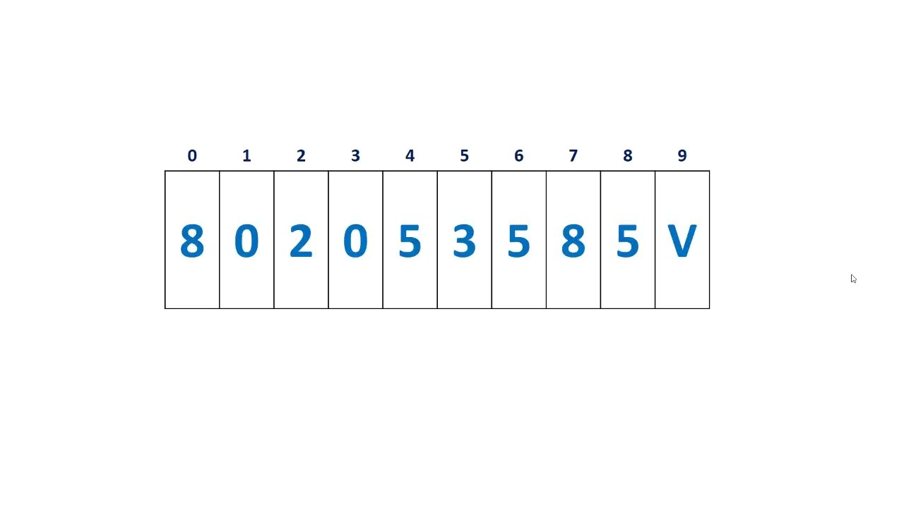 VB.Net String and Substring - Sri Lanka NIC