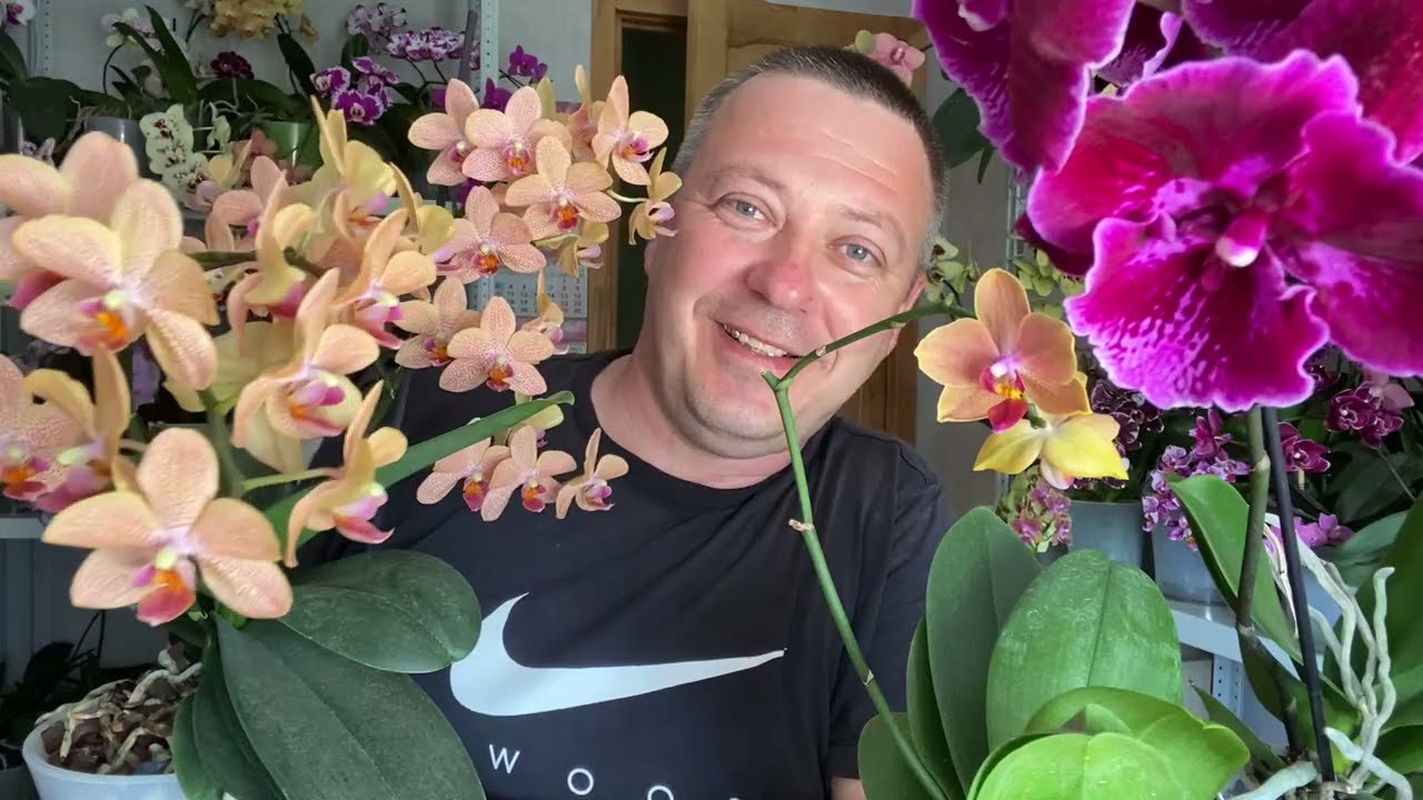 ПРАВИЛЬНЫЙ ПОЛИВ ОРХИДЕИ из магазина (ДЛЯ НОВИЧКОВ)
