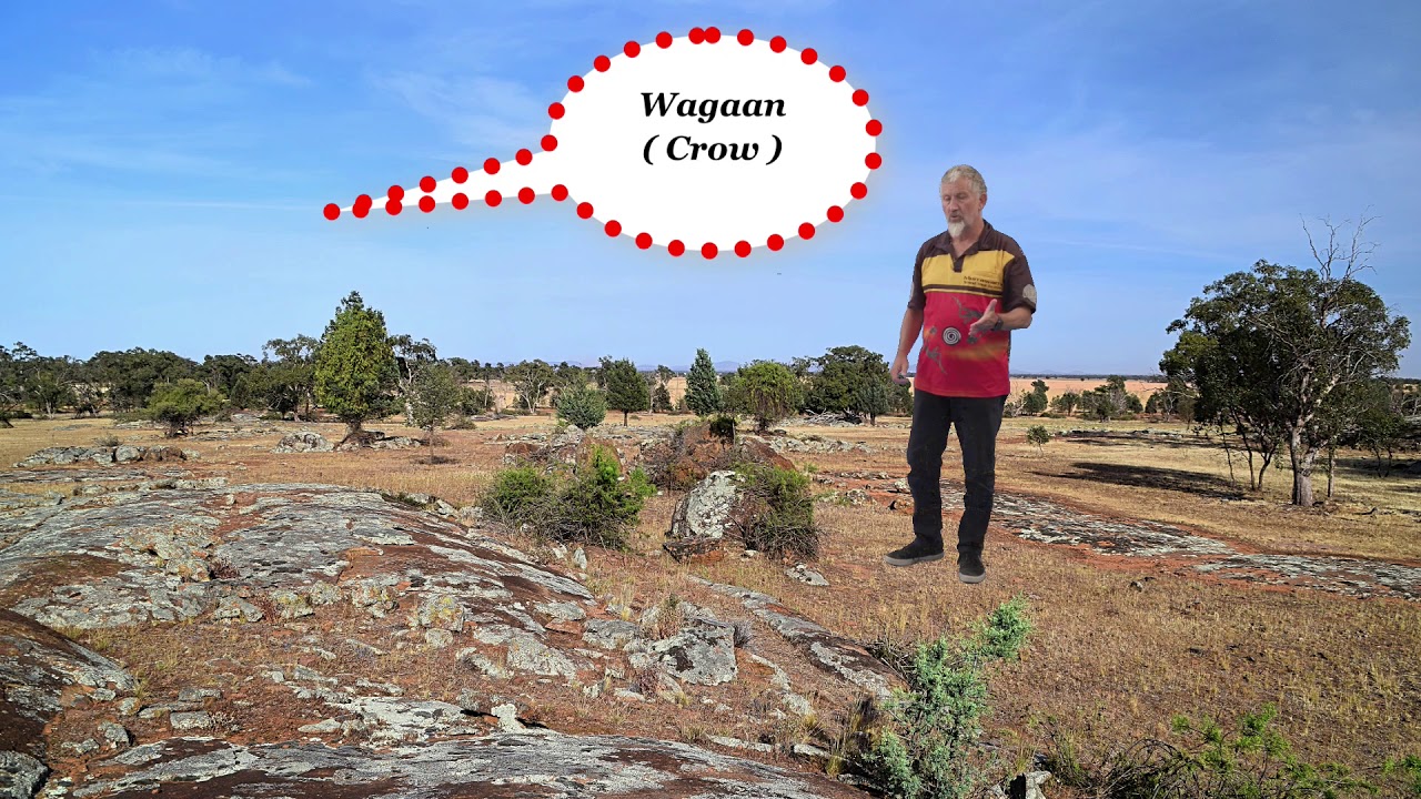 Aboriginal Wiradjuri Boomerang
