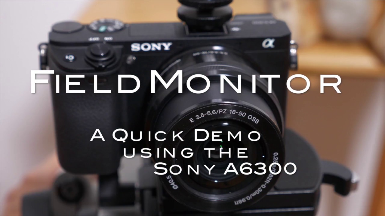 FieldMonitor With Sonys