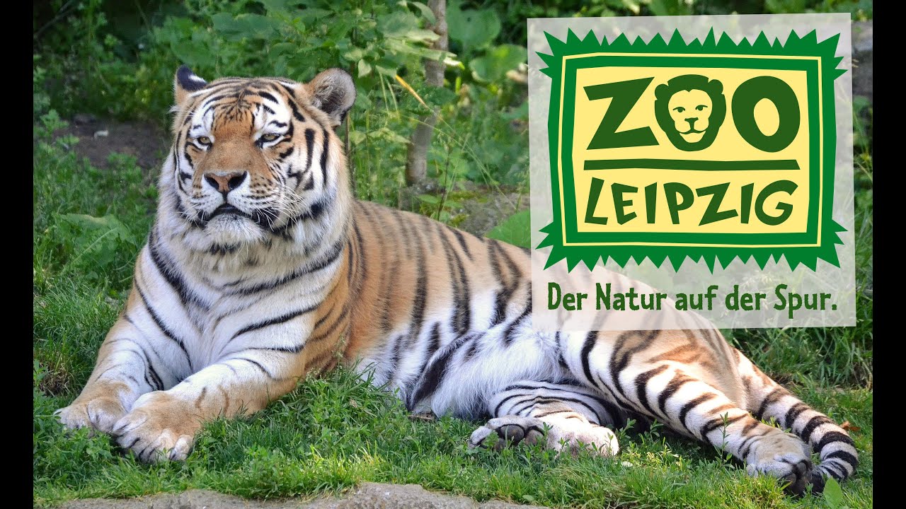 شاهد حديقة الحيوانات في مدينة لايبزيغ الالمانية - Zoo Leipzig