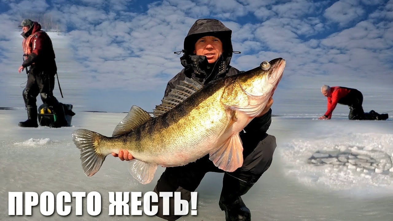 РЫБАЛКА ПИ#ДЕЦ! РЫБАКИ ТОНУТ! ГИГАНТСКИЙ СУДАК 9.2кг.  Трофейная рыбалка. Смертельный Лед 2026