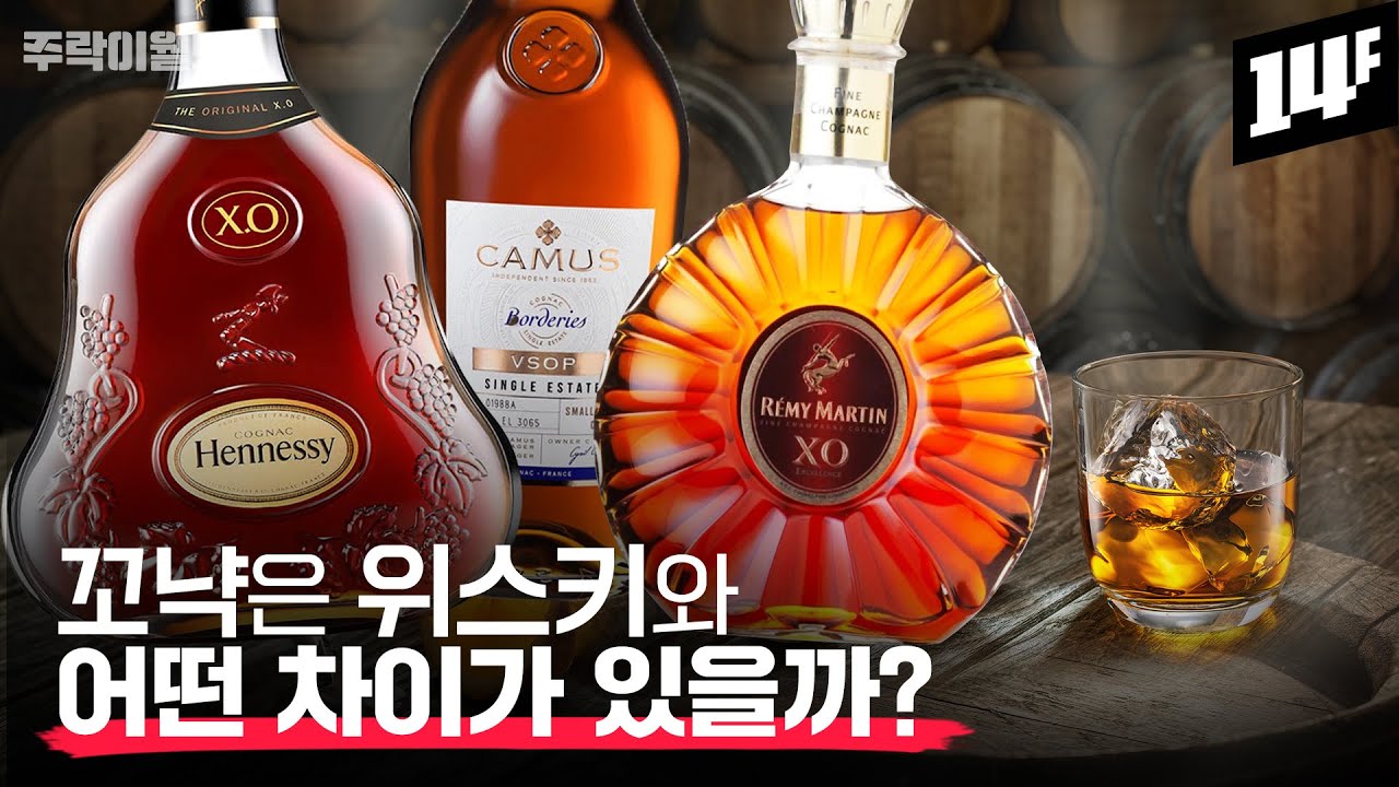 꼬냑은 처음이라고요?? 마셔 봤는데 잘 모르겠다고요?? 꼬냑에 대한 궁금증 총정리합니다.  | 주락이월드 / 14F