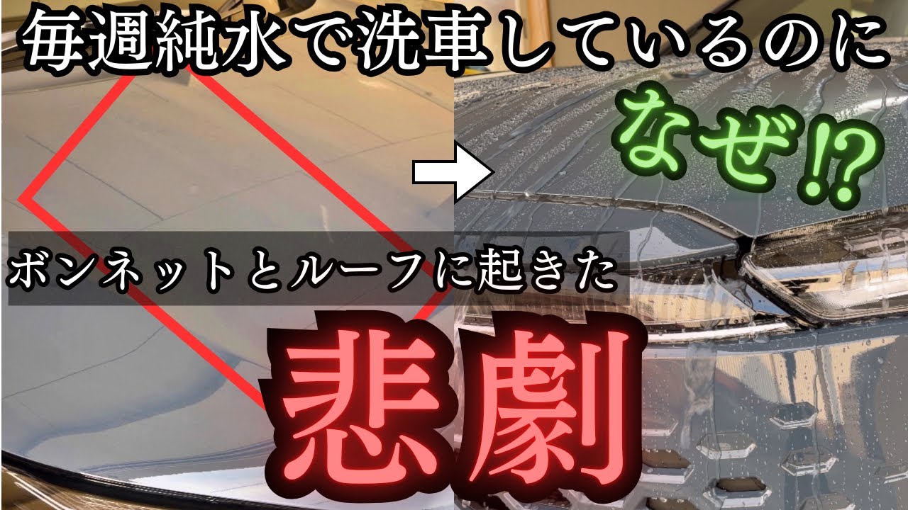 【純水だから大丈夫は嘘？】毎週メンテされた試乗車をガチ洗車したら衝撃の事実が判明！
