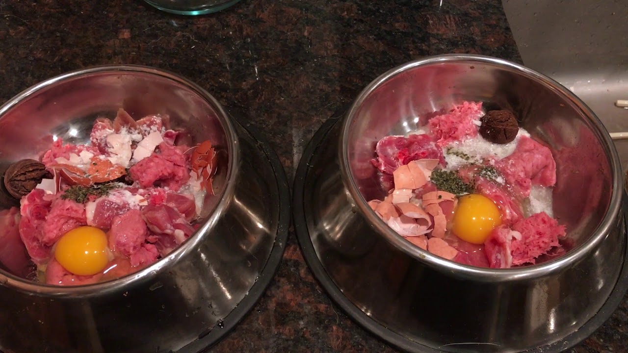 How to Feed Raw To Your Pets (Starters Guide To Raw Feeding)