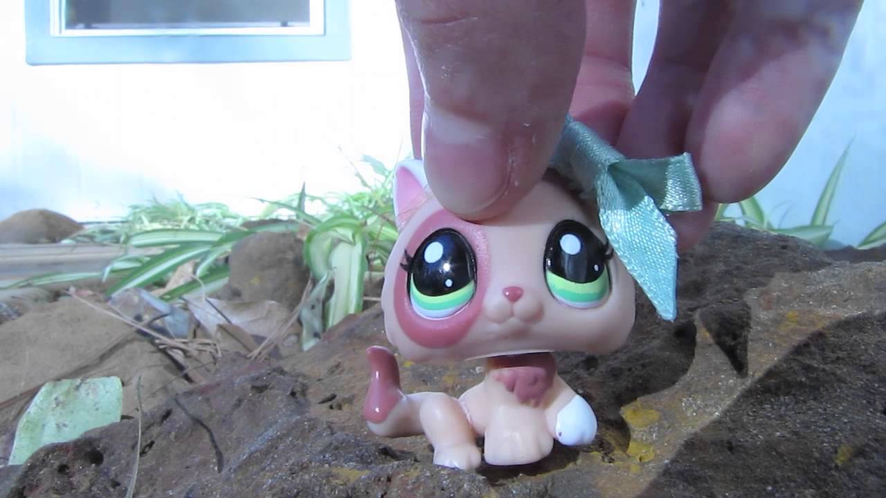 Littlest Pet Shop: The Show Music Video
